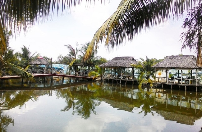 Hồ câu cá giải trí Phú Ông là Top 10 Địa điểm câu cá lý tưởng nhất ở TPHCM