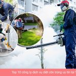 Công ty cung cấp dịch vụ diệt côn trùng