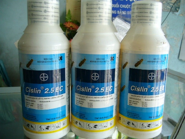 Thuốc diệt mối hiệu quả nhất hiện nay Cislin 2.5EC