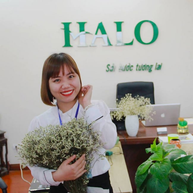 Công ty du học HALO