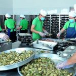 top công ty cung cấp suất ăn công nghiệp