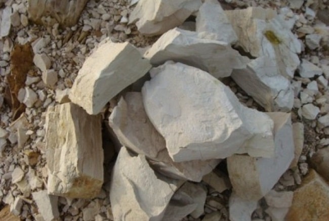 Đất điatomit là cách diệt kiến tận gốc hiệu quả ko cần hóa chất