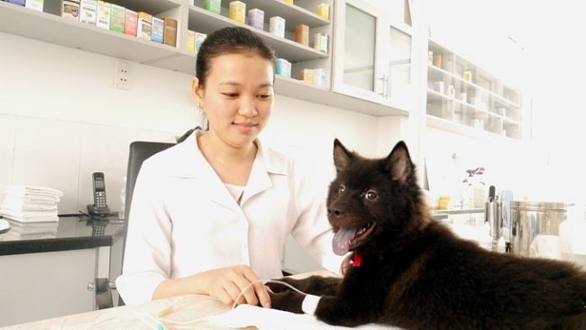 Phòng khám thú y Sài Gòn Pet (SaiGonPet Veterinary Clinic) là Top Phòng khám thú y uy tín và đảm bảo nhất tại TPHCM