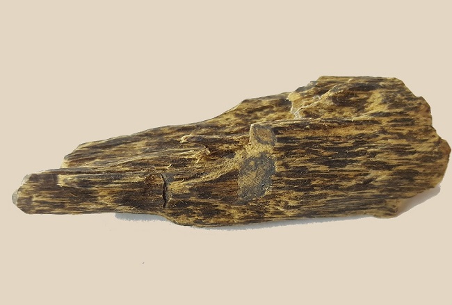 gỗ trầm hương là gì