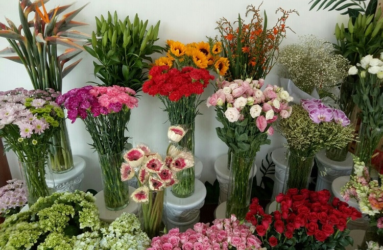 top 10 shop hoa tươi uy tín nhất ở Huế - Thiên Thu