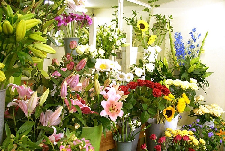 top 10 shop hoa tươi uy tín nhất ở Huế - Bình An