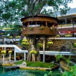 Top 8 Quán cafe đẹp nhất quận 7, TPHCM
