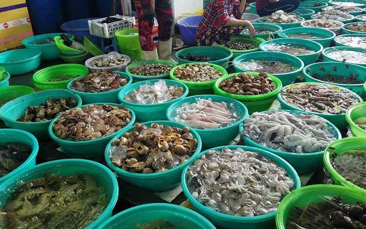 Top 10 địa chỉ mua hải sản tươi sống ngon nhất Đà Nẵng