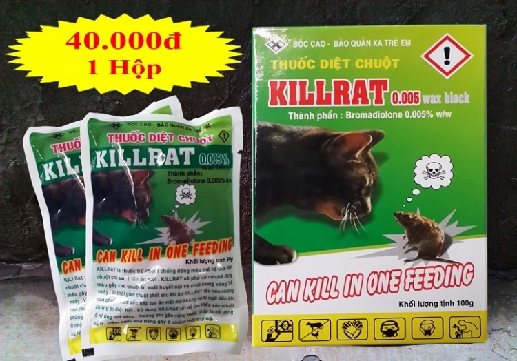 Những điều cần biết về thuốc diệt chuột Killrat