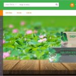 Top 9 cửa hàng bán thực phẩm chức năng uy tín nhất tphcm
