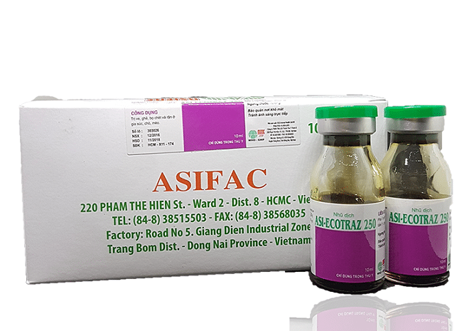 Asi Ecotraz 250 là một trong Các loại thuốc diệt bọ chét hiệu quả và tốt nhất