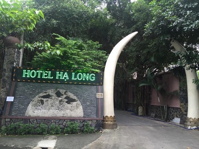 Khách sạn Hạ Long là Top 10 Khách sạn giá "rẻ mà tốt" nhất Quận Thủ Đức