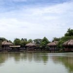 Các địa điểm câu cá giải trí tại Sài Gòn