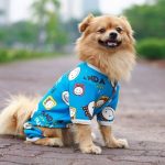 Top 10 Shop bán phụ kiện cho thú cưng uy tín ở TPHCM