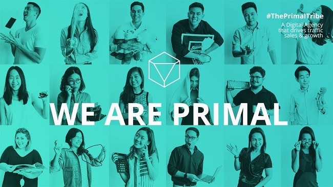 Dịch vụ Digital Marketing tốt nhất TPHCM-Primal