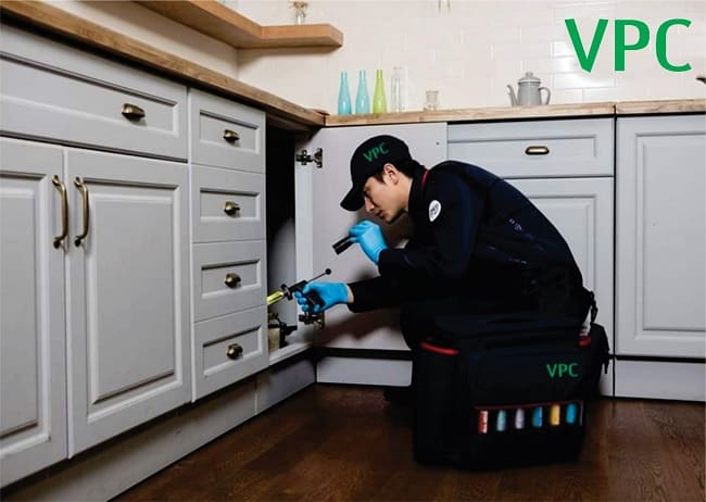Kiểm Soát Côn Trùng Việt Nam ( VPC )