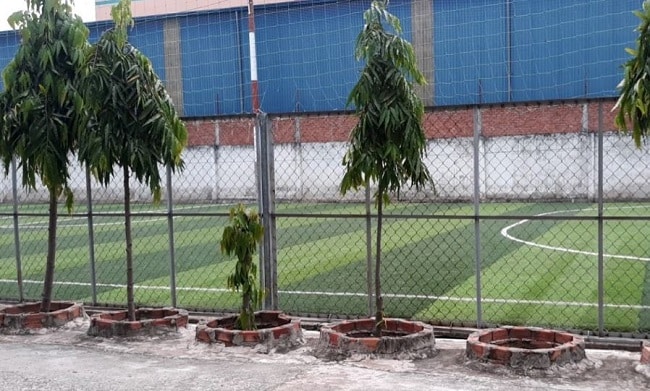 Sân bóng đá Nguyễn Gia