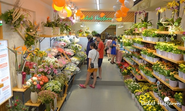 Shop hoa tươi quận 3 - Hasfarm
