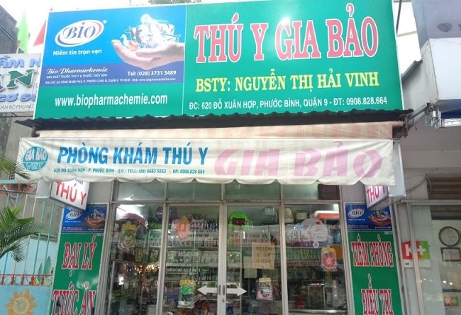 phòng khám thú y