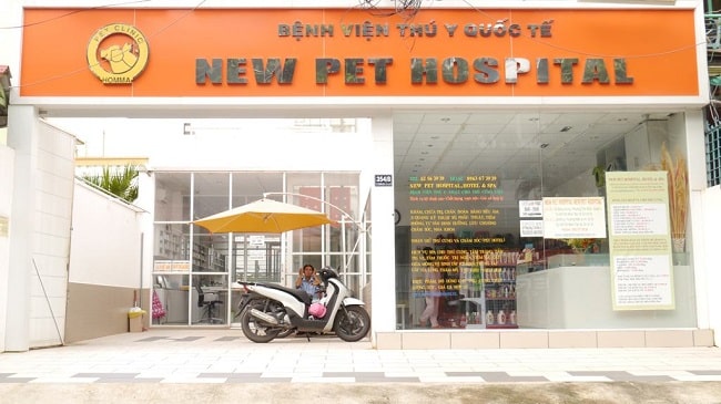 Top phòng khám thú ý Newpet Hospital