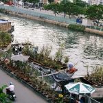Quận 8 tphcm có gì chơi