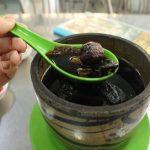 gà tiềm thuốc bắc TPHCM