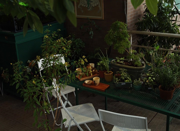 Tiệm Cây Người Làm Vườn là một ốc đảo xanh khiêm tốn ở trung tâm Quận 1 dành cho những ai cần thư giãn