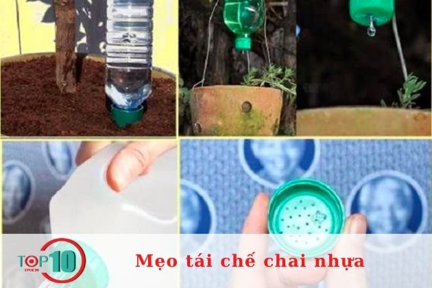 Tận dụng chai nhựa để làm vòi tưới nước cho cây| Nguồn: Internet