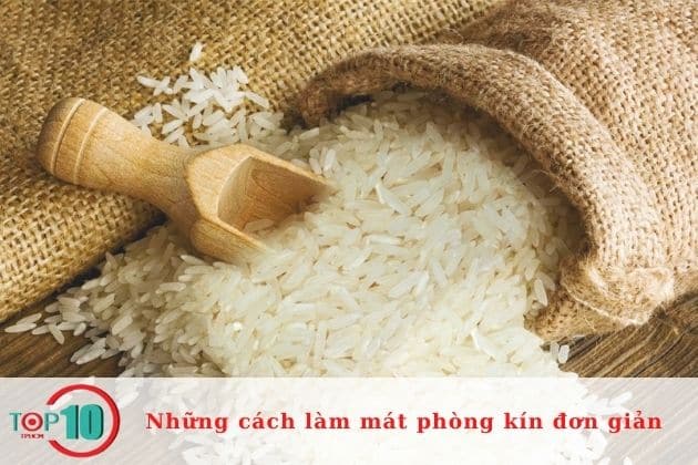 Cách làm mát phòng kín bằng gạo| Nguồn: Internet