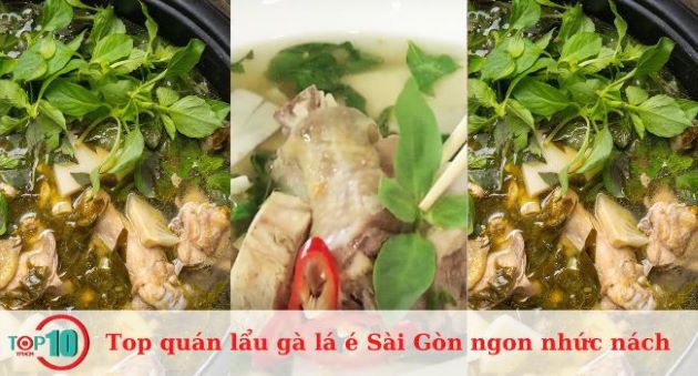 Top 15 quán lẩu gà lá é Sài Gòn ngon nhức nách