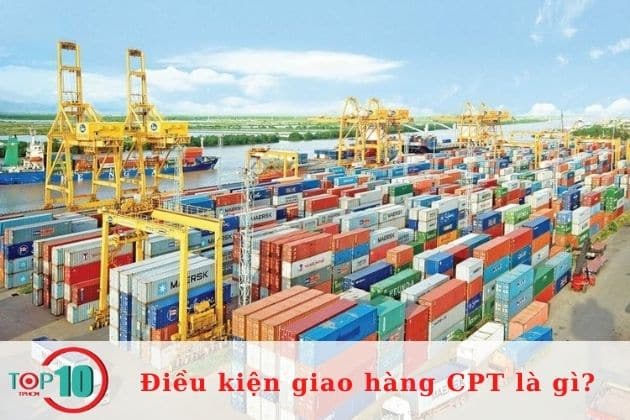Trách nhiệm của người mua trong điều kiện giao hàng CPT| Nguồn: Internet