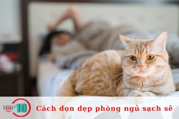 Hạn chế để chó mèo vào phòng ngủ| Nguồn: Internet