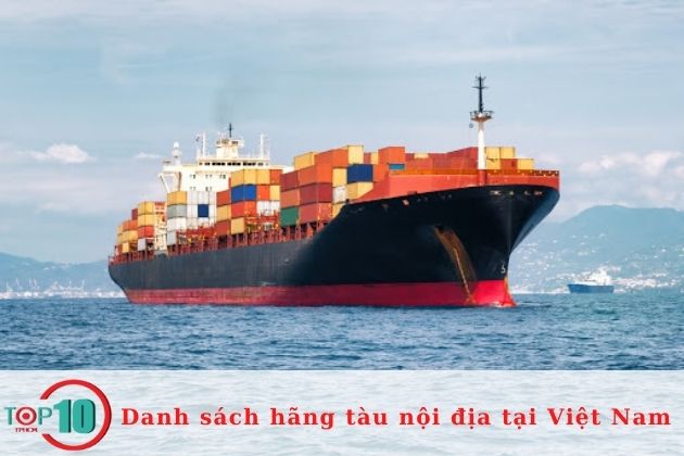 Công ty vận tải biển nội địa lớn| Nguồn: Hãng tàu nội địa Vinalines