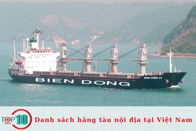 Đơn vị vận tải biển uy tín| Nguồn: Hãng tàu nội địa Biển Đông