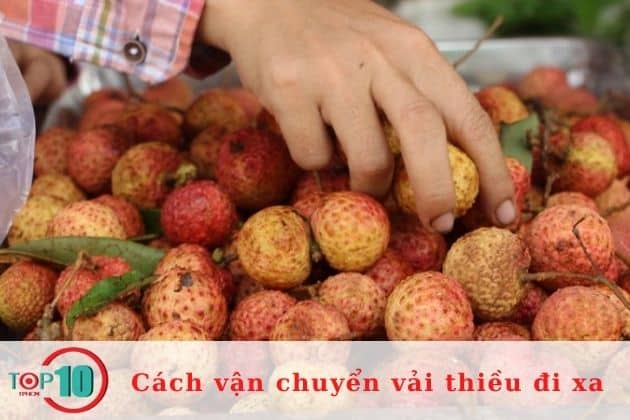 Vận chuyển vải thiều bằng cách chọn vải chất lượng và sơ chế đúng cách| Nguồn: Internet