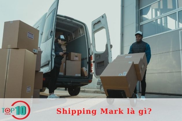 Một số ví dụ và mẫu Shipping Marks| Nguồn: Internet