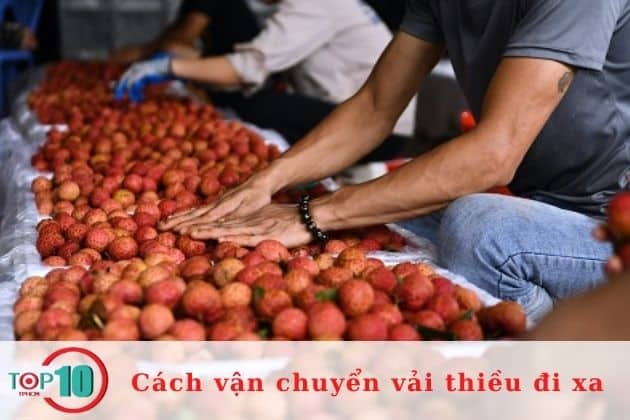 Vận chuyển vải thiều bằng cách phân loại chất lượng quả| Nguồn: Internet