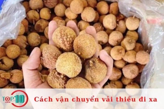 Vận chuyển vải thiều bằng cách phơi hoặc sấy khô| Nguồn: Internet