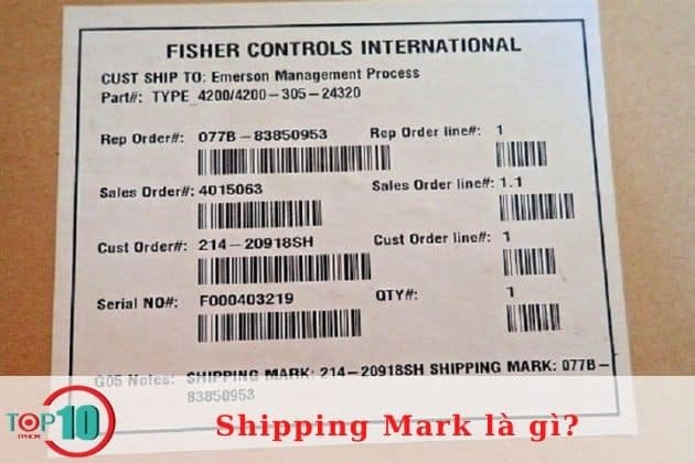 Shipping mark bao gồm những loại nào?| Nguồn: Internet