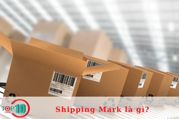 Shipping Mark là gì? Những thông tin bạn cần biết về Shipping Mark