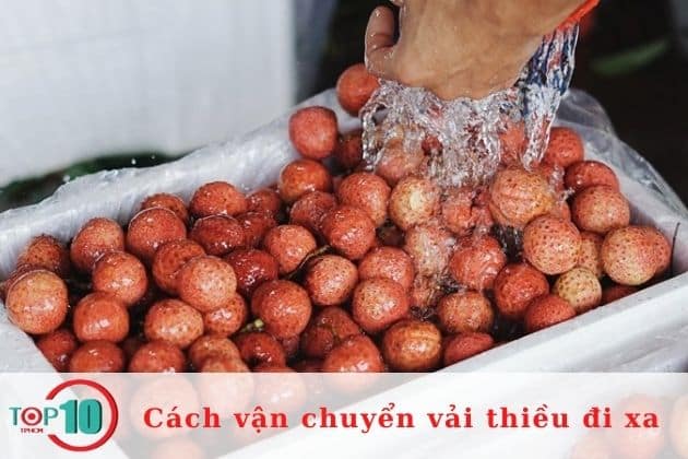 Vận chuyển vải thiều đi xa bằng thùng xốp| Nguồn: Internet