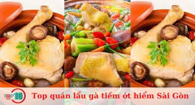Top 15 quán lẩu gà tiềm ớt hiểm siêu ngon ở Sài Gòn – TPHCM