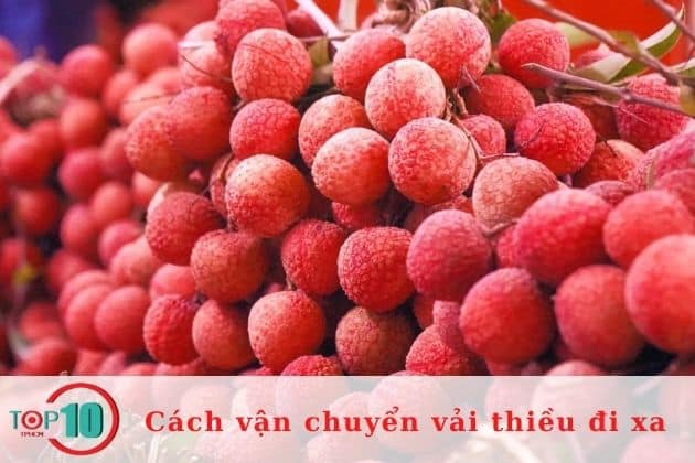 Vận chuyển vải thiều với các xe đông lạnh| Nguồn: Internet