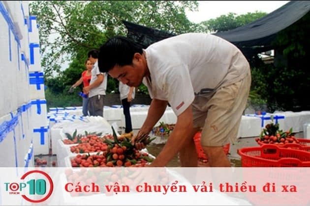 Vận chuyển vải thiều đi xa bằng cách sử dụng hóa chất đúng cách( Với số lượng lớn)| Nguồn: Internet