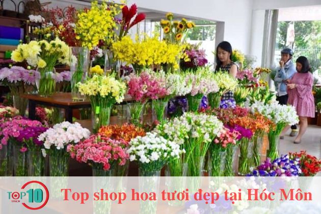 Shop Hoa Quỳnh