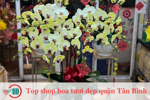 Shop hoa tươi SG 