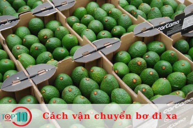 Thực trạng về nhu cầu tiêu thụ bơ hiện nay| Nguồn: Internet