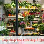 Top shop hoa tươi ở Quận 11