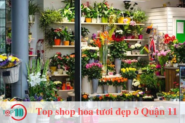 Top 5 shop hoa tươi tại Quận 11, TPHCM rẻ đẹp, giao tận nơi