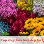 Top shop hoa tươi tại Quận 7